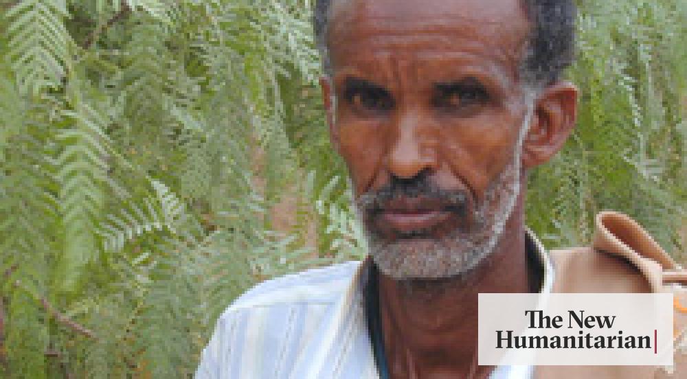 The New Humanitarian FOCUS on new early warning system for pastoralists