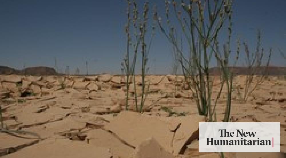 The New Humanitarian Water contamination incidents highlight water shortage problem