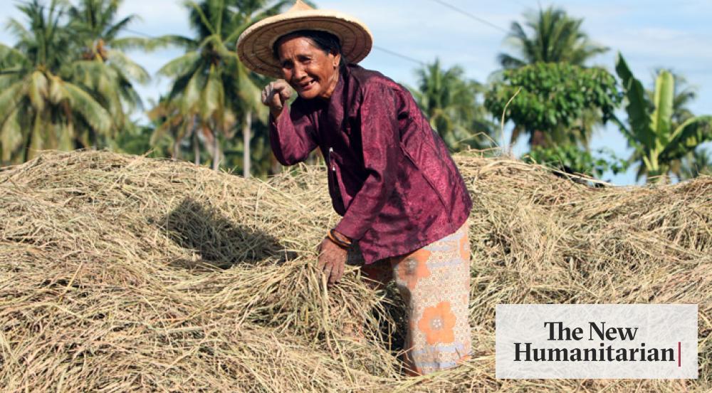 Poverty Rice Rice crisis increasing poverty, puts MDG target out of reach