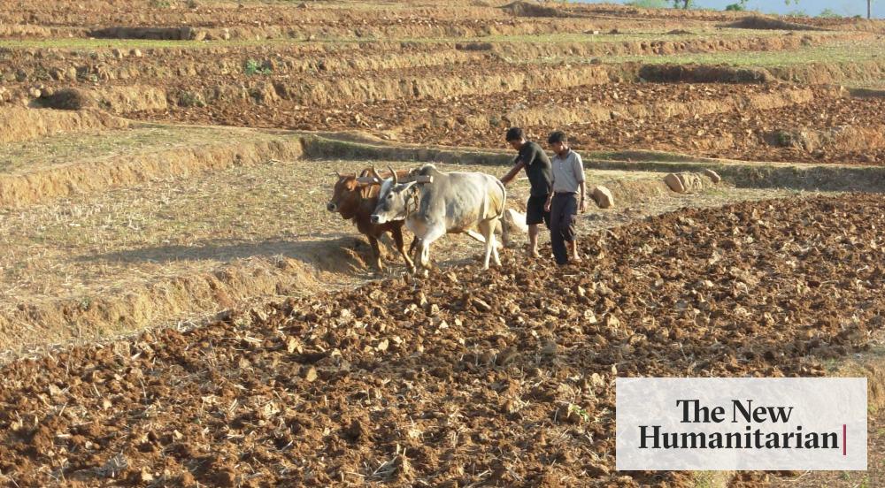 Drought compounds food insecurity in western regions