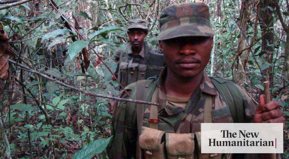 On the trail of the LRA
