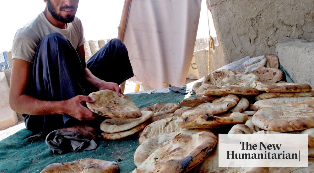 Fighting food insecurity in Afghanistan