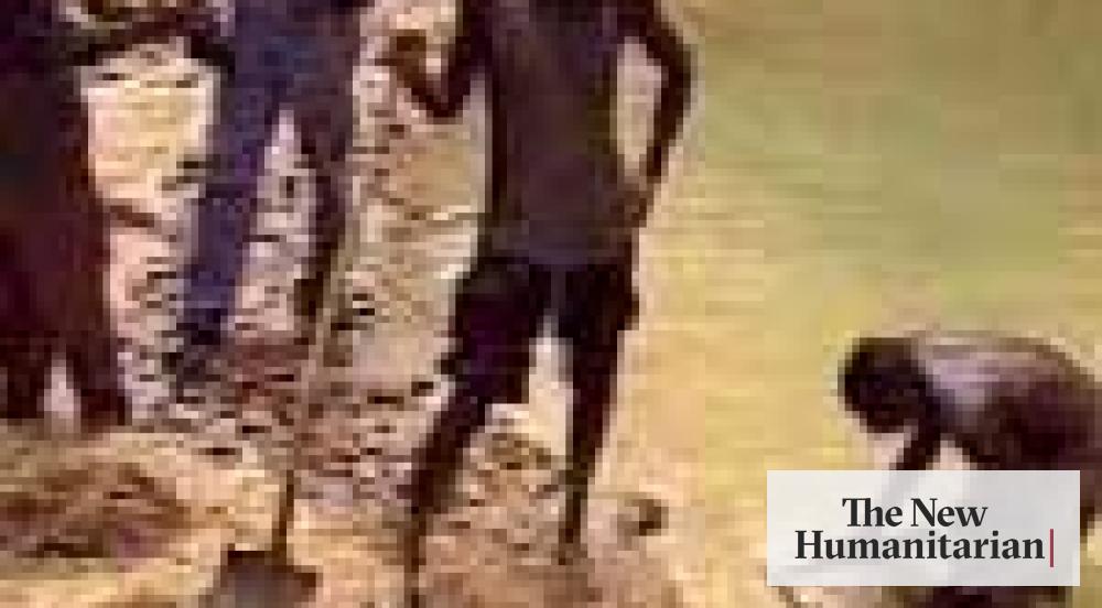 The New Humanitarian | Crackdown on illegal mining has unforeseen