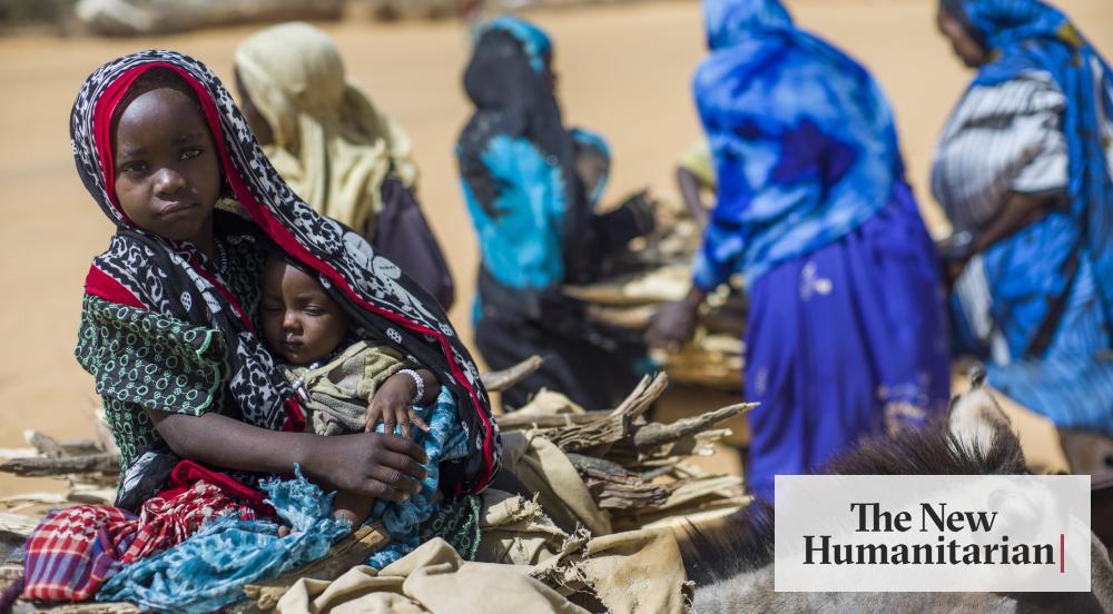 The New Humanitarian | Sudanese refugees in Chad must adapt or starve