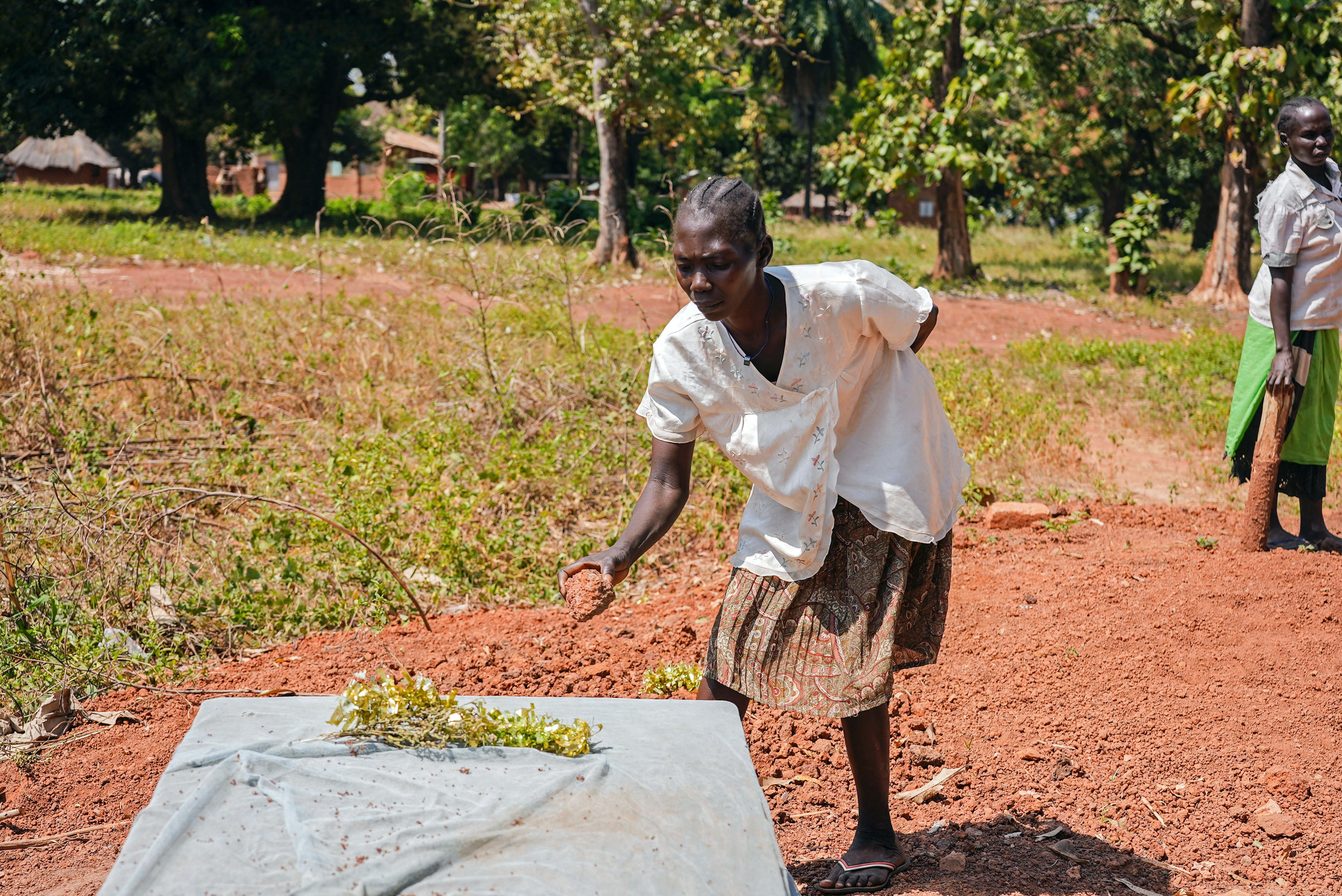 Tambura resident Susana Weka places leaves over the grave of a victim of recent violence. Militias have killed hundreds of people in the county in recent months. 