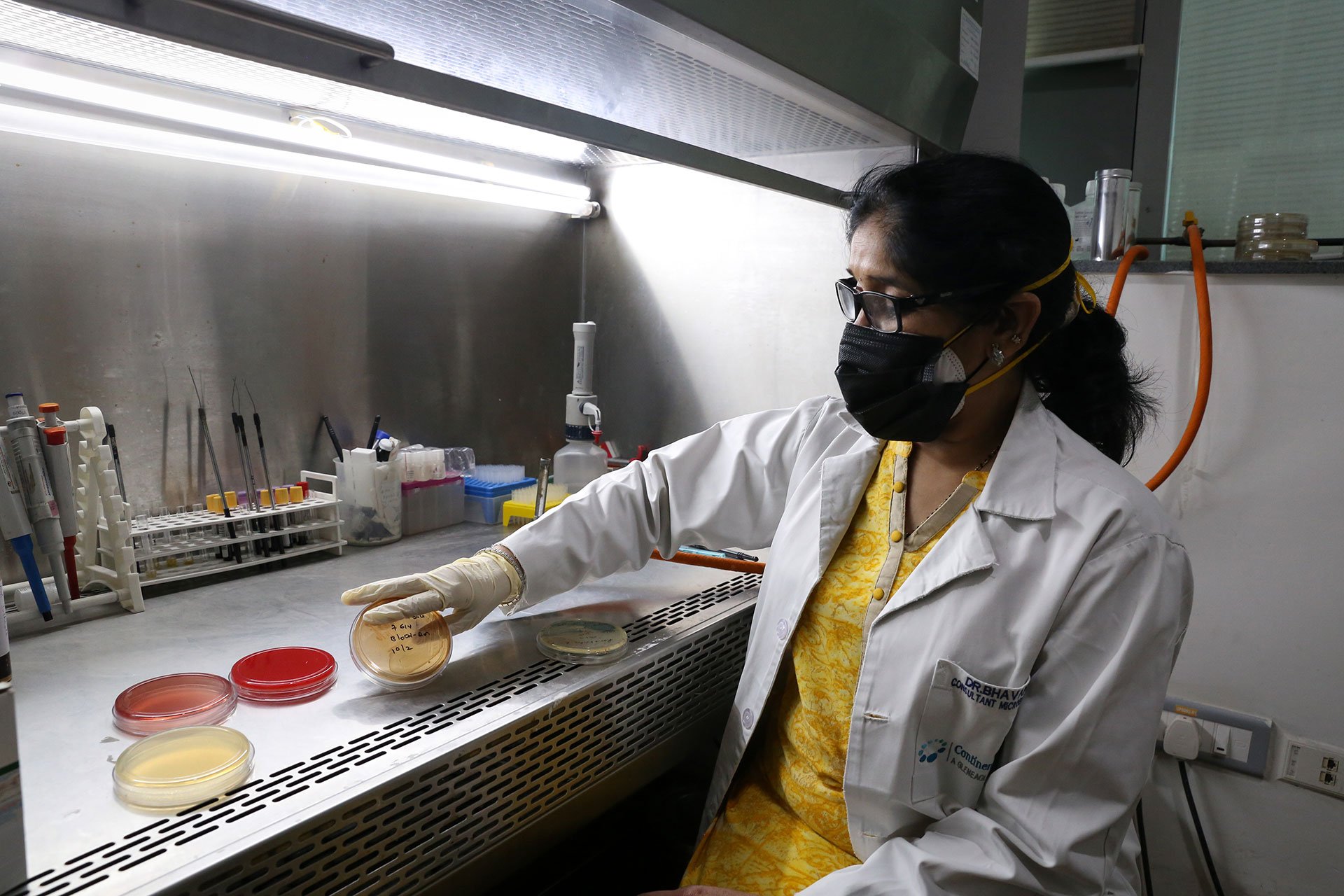 Dr. Bhavani conducts drug sensitivity tests in her laboratory in Continental Hospital, Hyderabad, in February 2022.