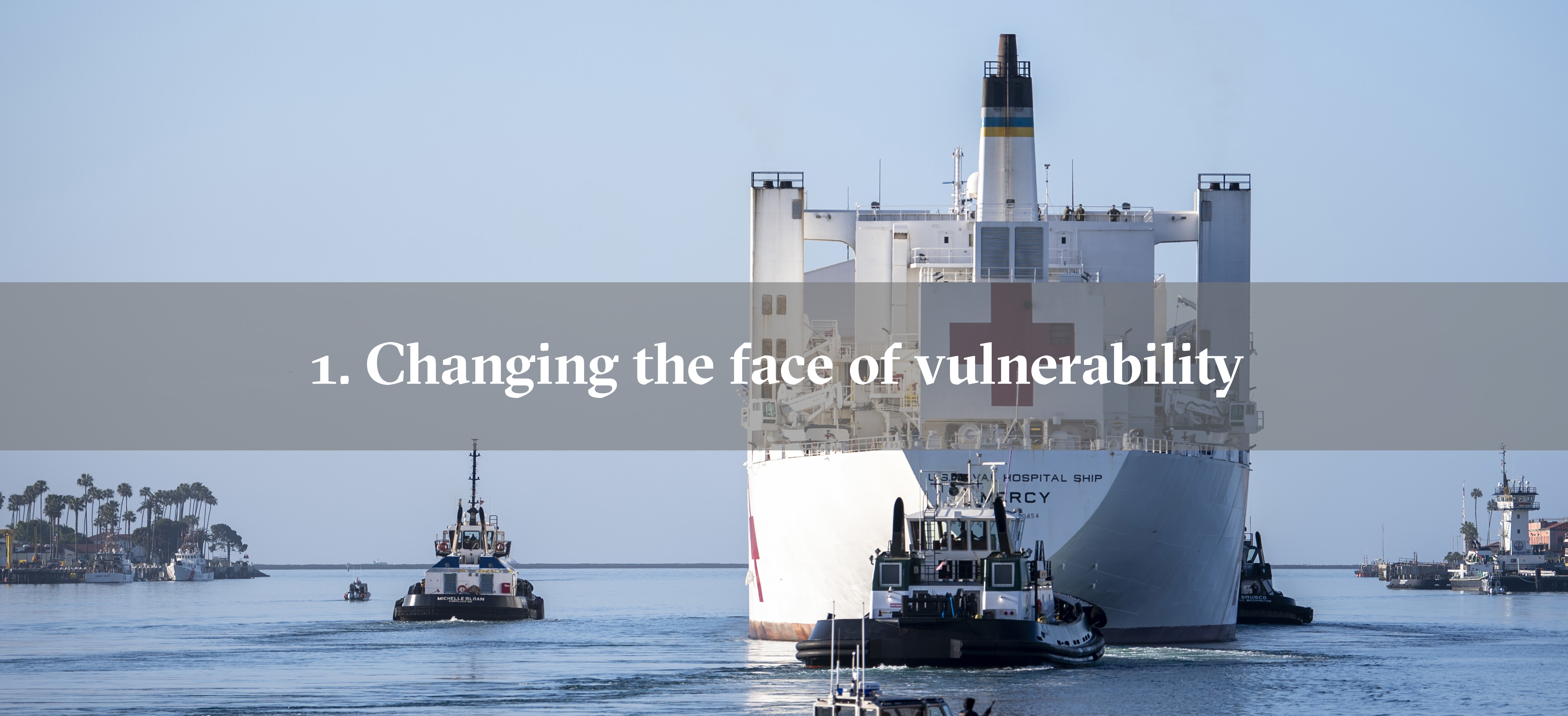 The hospital ship USNS Mercy