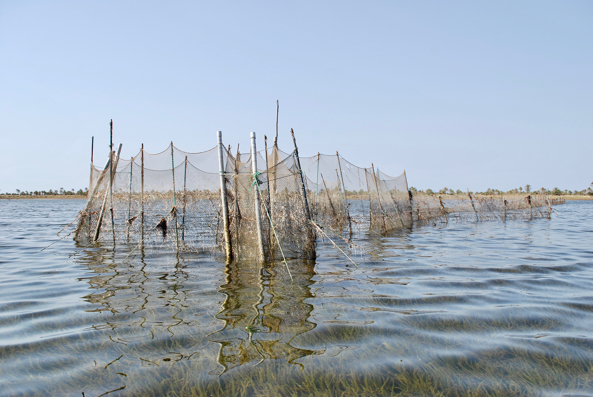 The charfiya fishing technique