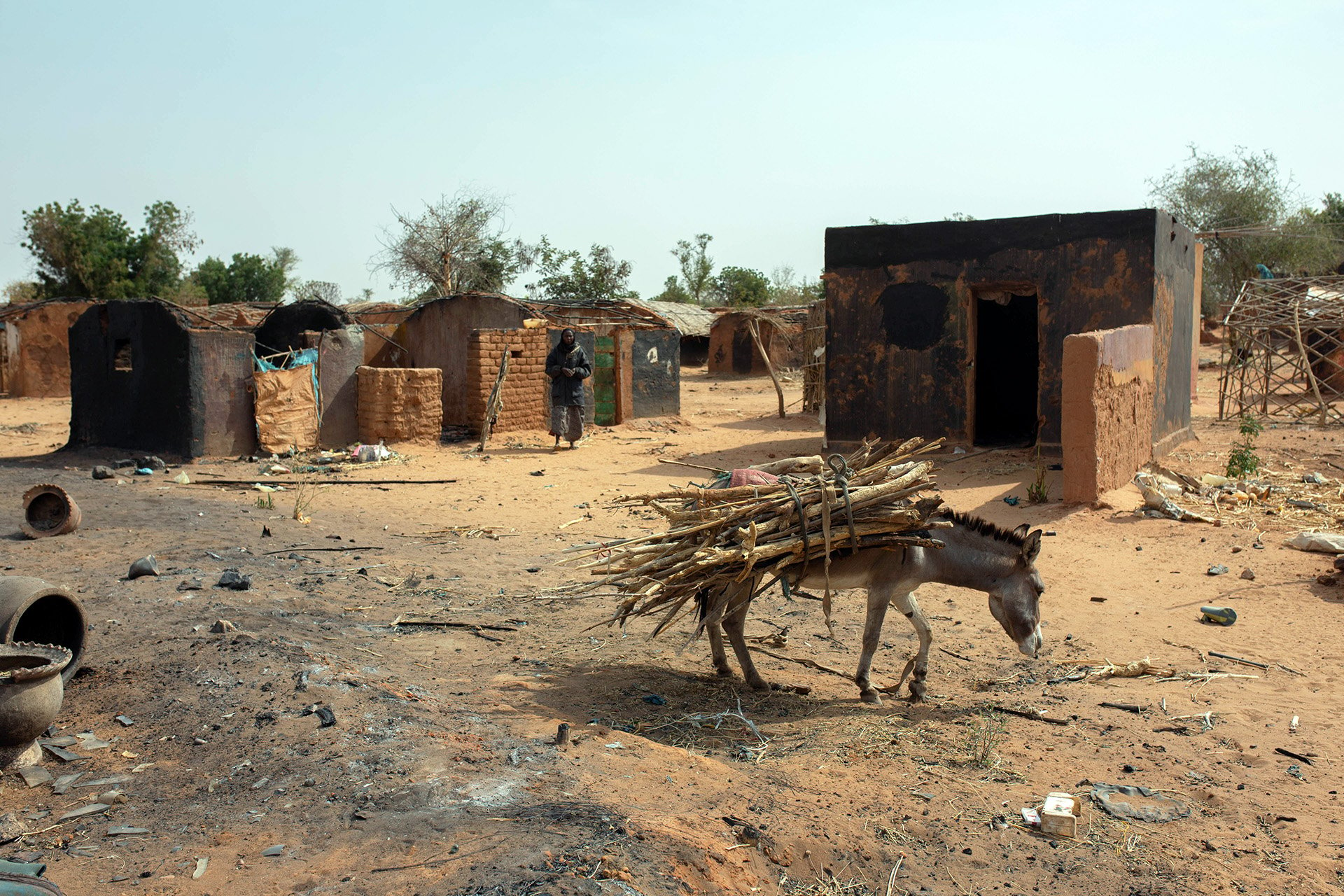 A donkey stands in a burnt town square.