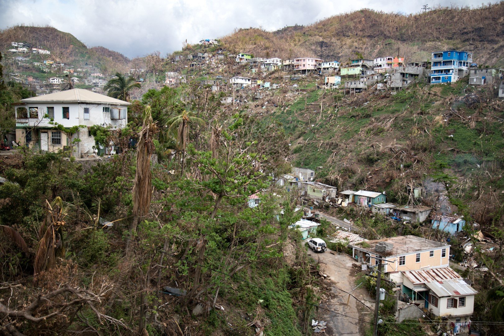 Fell trees and torn roof paneling litter the ravines of a village in Dominica. 